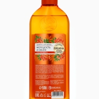 Шампунь для волос, молодость и объем, аромат рябины, 400 мл, Рябина