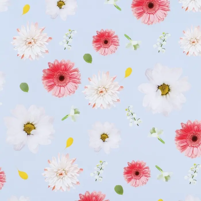 Бумага упаковочная глянцевая &laquo;Ромашки&raquo;, 70 х 100 см