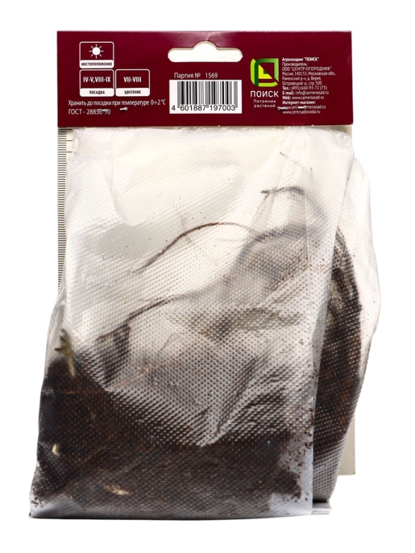 Лапчатка гибридная Монарх Вельвет, р-р I, 1 шт, Весна 2025 Лапчатка гибридная Монарх Вельвет, р-р I, 1 шт, Весна 2025