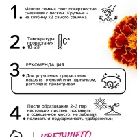 Семена цветов Бархатцы "Болеро", 0,2 г