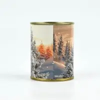 Копилка-банка металл &laquo;Зима подарит&raquo;, 7.5&times;9.5 см