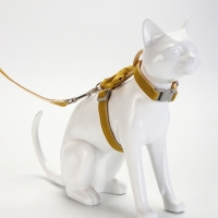 Комплект амуниции "Леди и Джентельмен", поводок 120 х 1,5 см, желтый