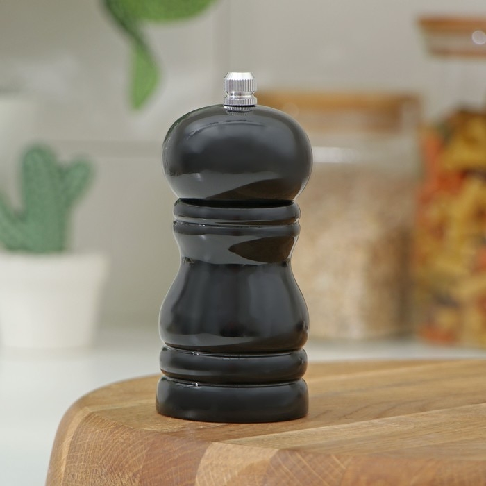 Мельница для специй Доляна &laquo;Краски&raquo;, 11 см, цвет чёрный