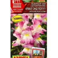 Семена цветов Львиный зев Кракл энд поп F1 эпплблоссом  С. Floranova Цветущий балкон, Ц/П,7 шт. 1094