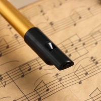 Флейта Music Life D,  золотая, 30 см