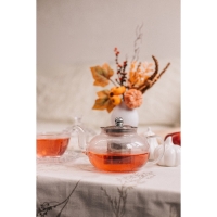 Чайник стеклянный заварочный с металлическим ситом Доляна &laquo;Калиопа&raquo;, 600 мл