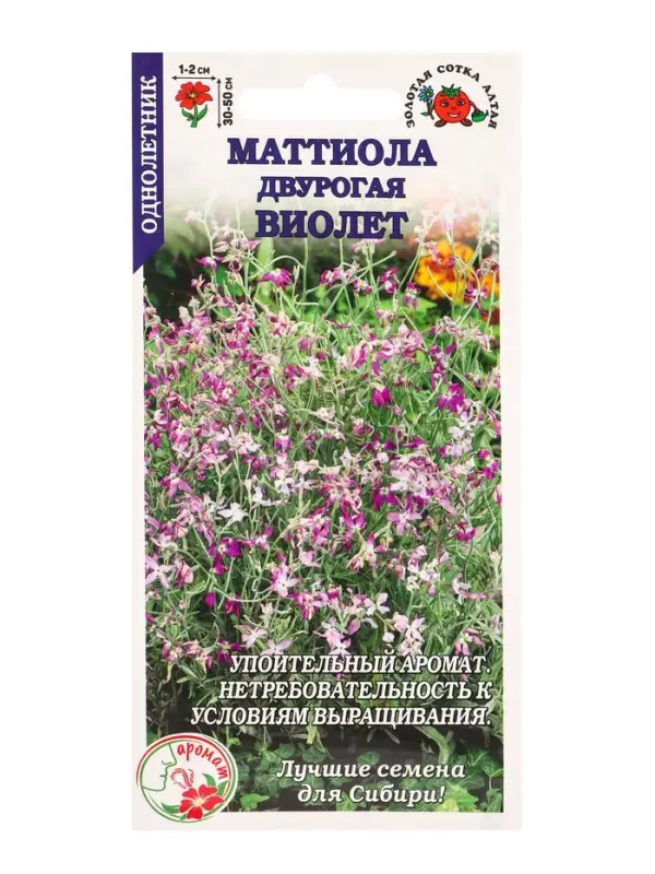 Семена Маттиола Виолет /Сотка/ 0,5 г/ h-50см, d-2см/*1200