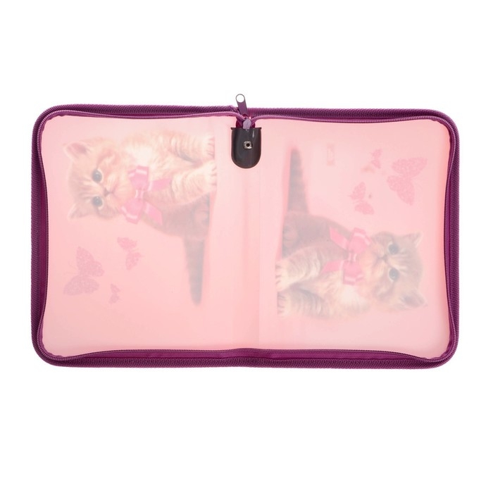 Папка для тетрадей А5, 180 х 230 х 25 мм, молния вокруг, пластиковая 0.5, ПМ-А5-04 Calligrata