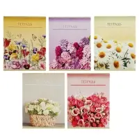 Тетрадь 48 листов в клетку Calligrata &laquo;Цветы&raquo;, обложка мелованный картон, блок офсет, МИКС