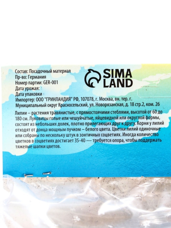 Лилии Трубчатые смотрящие вверх Pink Planet, луковица в пакете с перфорацией, р-р 14/16, 2 шт.