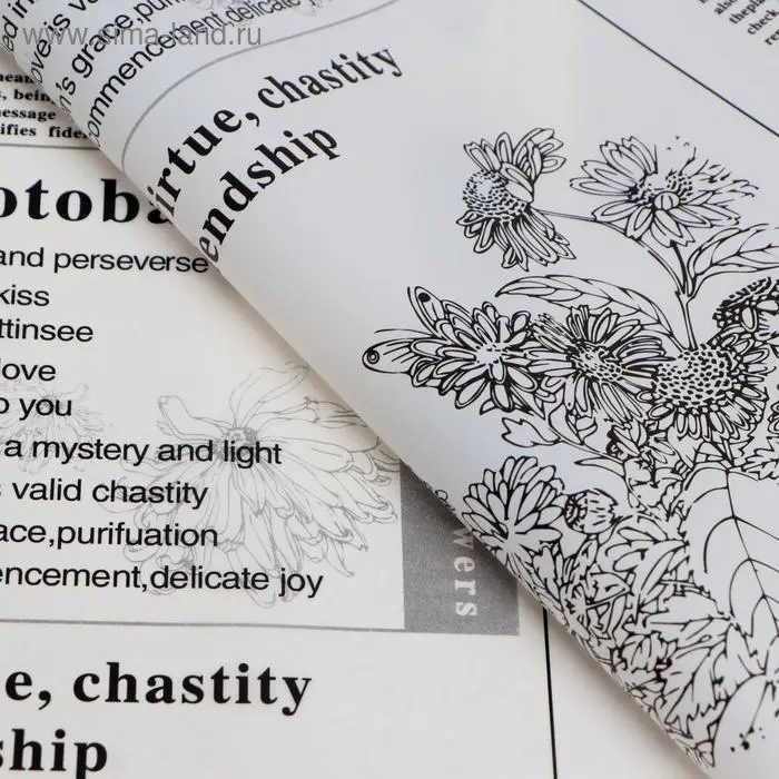 Плёнка матовая &laquo;Флористическая статья&raquo; белый, 57&times;57 см &plusmn;5% см