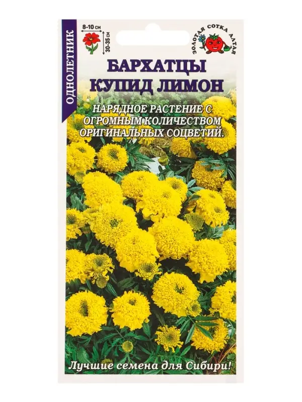 Семена Бархатцы Купид Лимон /Сотка/ 0,1 г/ прям. 35см, d-10см/*1500