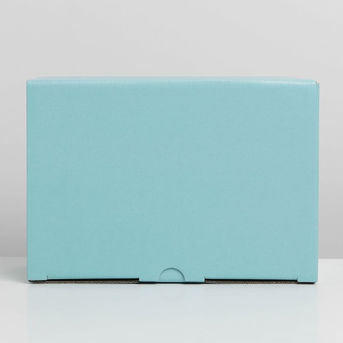 Коробка подарочная складная, упаковка, &laquo;Тиффани&raquo;, 22 х 15 х 10 см