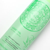 Шампунь для волос с экстрактом облепихи и тысячелистника, питание и защита, 410 мл, URAL LAB