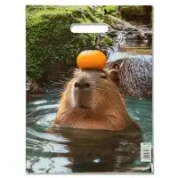 Пакет подарочный "Капибара", полиэтиленовый с вырубной ручкой, 30 х 40 см 50 мкм