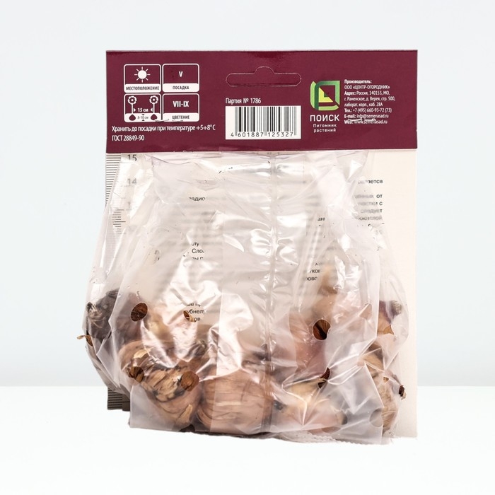 Гладиолус крупноцветковый &laquo;Присцилла&raquo;, луковица цветов в пакете с перфорацией, , р-р 10/12, 10 шт.