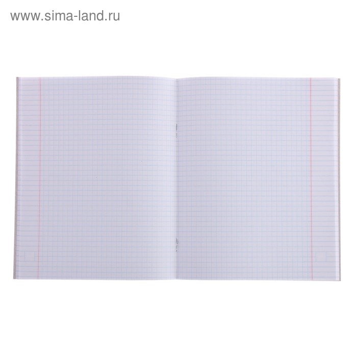 Тетрадь 48 листов в клетку Calligrata "Дерзкий енот", обложка мелованный картон, блок офсет, МИКС