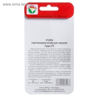 Семена Огурец Темп F1,партенокарпический, 5 шт Семена Огурец Темп F1,партенокарпический, 5 шт