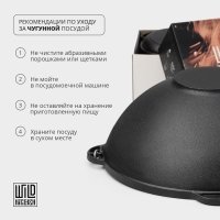 Сковорода блинная Wild Kitchen, d=24 см, съёмная ручка, индукция, чугун