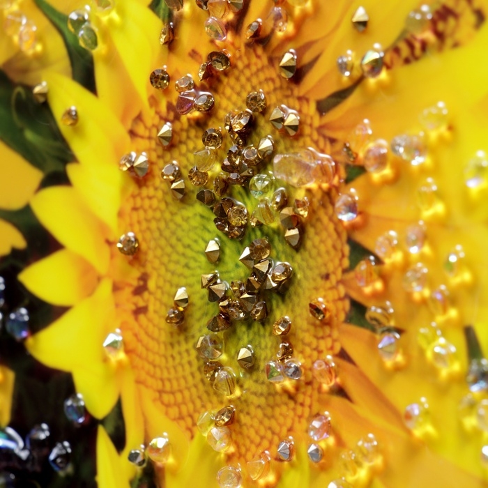 Картина акрил Картина акрил "Подсолнухи в вазе" 60х39,5 см