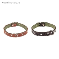 Ошейник комбинированный кожа/брезент, 46 х 2 см, безразмерный микс цветов Ошейник комбинированный кожа/брезент, 46 х 2 см, безразмерный микс цветов