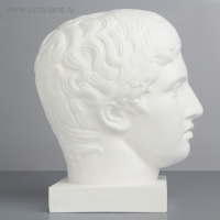 Гипсовая фигура Голова Дорифора, 21 х 29 х 35 см