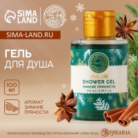 Гель для душа, 100 мл, аромат зимних пряностей, Новый Год Гель для душа, 100 мл, аромат зимних пряностей, Новый Год