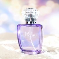 Туалетная вода женская Elite Arpeggio, 100 мл Туалетная вода женская Elite Arpeggio, 100 мл