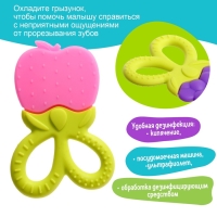Прорезыватель для зубов детский &laquo;Фрукты-ягоды&raquo;, МИКС