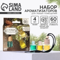 Ароматизаторы в машину &laquo;Крепость и выдержка&raquo;, черный лёд, зимняя свежесть, мандарин (набор 3 шт)