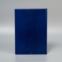 Папка для семейных документов «Docs», 8 файлов А4 Папка для семейных документов «Docs», 8 файлов А4