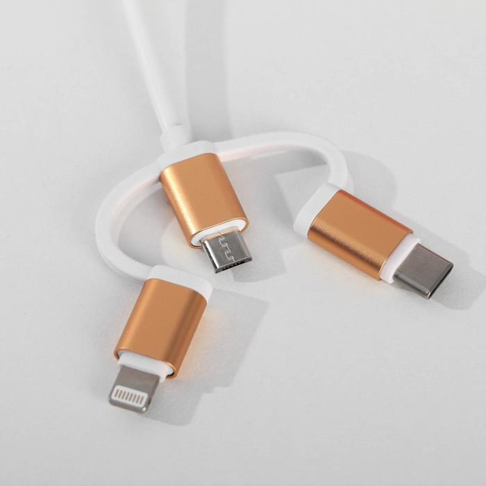 Ежедневник со встроенным зарядным устройством 8000 мАh и флешкой 16 ГБ &laquo;Лев&raquo;, 17,5 х 23,5 см