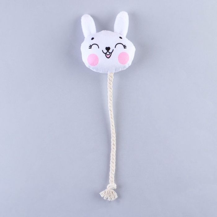 Игрушка для собак &laquo;Зайка&raquo;, с канатом