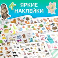 100 наклеек набор &laquo;Развивающие&raquo;, 4 шт. по 12 стр.