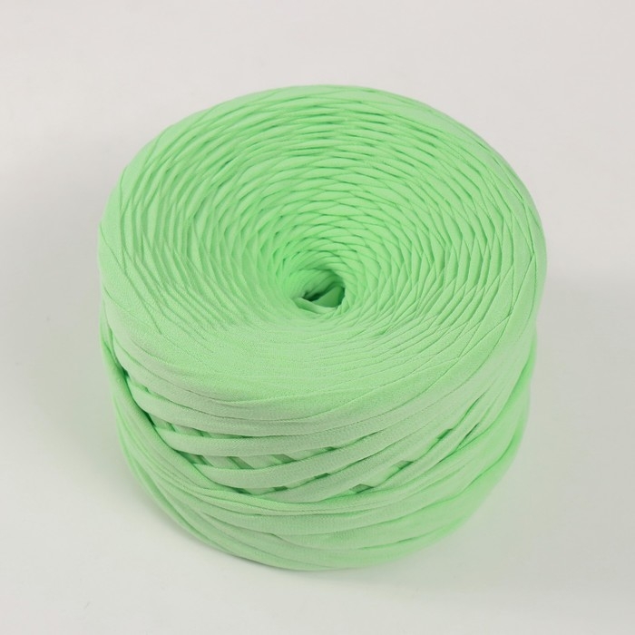 Трикотажная пряжа, ширина 7-9 мм, 100м/295 гр&plusmn;10% (21 - фисташка)