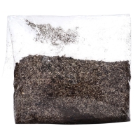 Флокс "Даниэль" р-р I, 2 шт, Весна 2025, ЭКОНОМ,