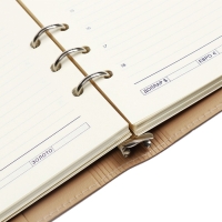 Органайзер на кольцах А5, 100л, линия, к/зам, с ручкой, в подар. короб., Серый