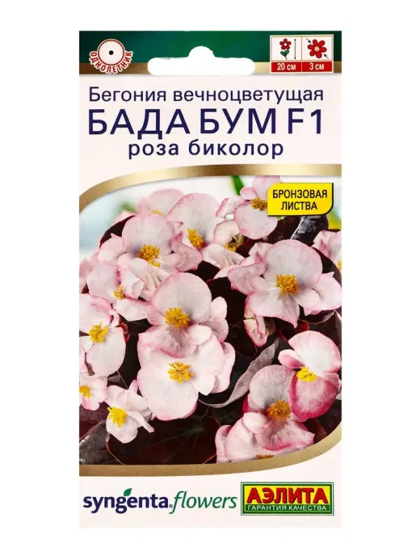 Семена цветов Бегония Бада бум F1 роза биколор  (драже в пробирке) Спецсерия Syngenta, Ц/П,5 шт. 109