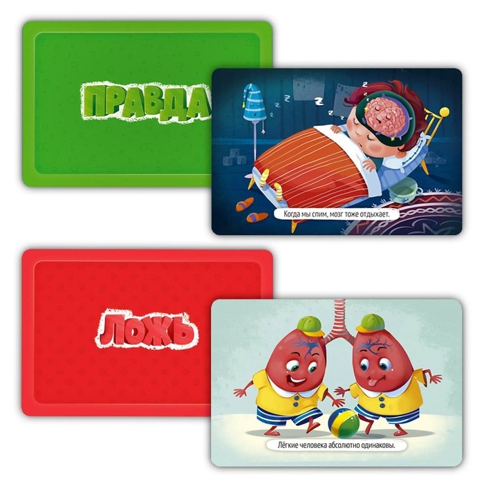 Карточная игра «Тело человека» Серия Правда-ложь, 60 карточек, 8х12 см Карточная игра «Тело человека» Серия Правда-ложь, 60 карточек, 8х12 см