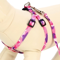 Комплект "Камуфляж", капрон, ширина 1см,шлейка 21-35 см,поводок 120 см, капрон, розов/фиолет