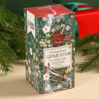 Подарочный набор новогодний &laquo;Волшебных моментов&raquo;: травяной чай, мёд кремовый с клубникой