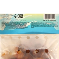 Тюльпан "Алгарве, р-р 12/+, 5шт, Осень 2024 Тюльпан "Алгарве, р-р 12/+, 5шт, Осень 2024