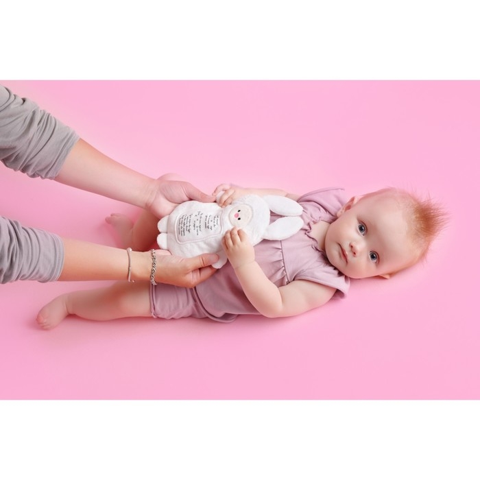 Мягкая игрушка 3 в 1 &laquo;Зайка&raquo; с метрикой, с вишнёвыми косточками, 19,5 см