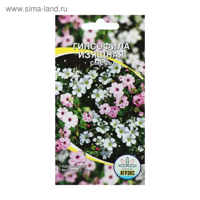 Семена цветов Гипсофила "Изящная", смесь окрасок, О, 0,1 г