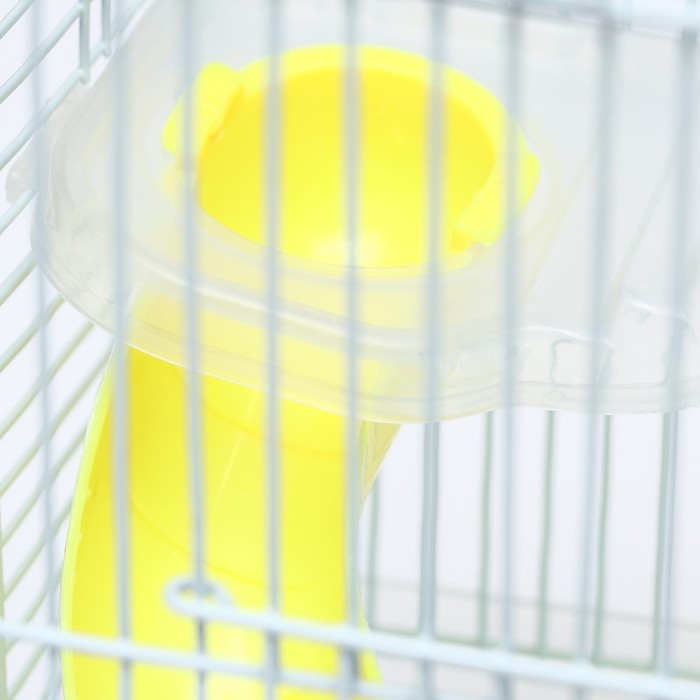 Клетка для грызунов Клетка для грызунов "Пижон", 23 х 17 х 33 см, прозрачная, голубое наполнение