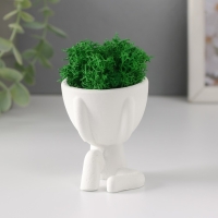 Стабилизированный мох в кашпо из бетона &laquo;Мистер Грин Мидзару&raquo;, мини, 5.5&times;6.5&times;6.5 см, белый