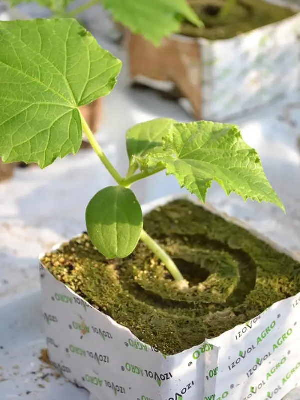 Субстрат минераловатный &laquo;Эковер&raquo;, в кубе, для рассады и гидропоники, отверстие 20&times;15 мм, 10&times;10&times;6.5 см