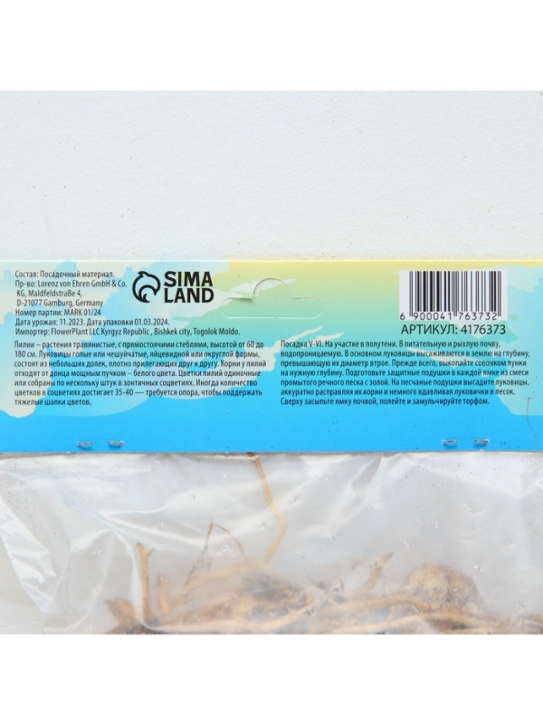 Лилия Азиатская &laquo;Навона&raquo;, луковица в пакете с перфорацией, р-р 12/14, 3 шт.