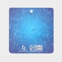 Брошь новогодняя &laquo;Конёк&raquo; с цветами, цветная в серебре