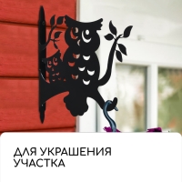 Кронштейн для кашпо, 25 см, «Сова», Greengo Кронштейн для кашпо, 25 см, «Сова», Greengo